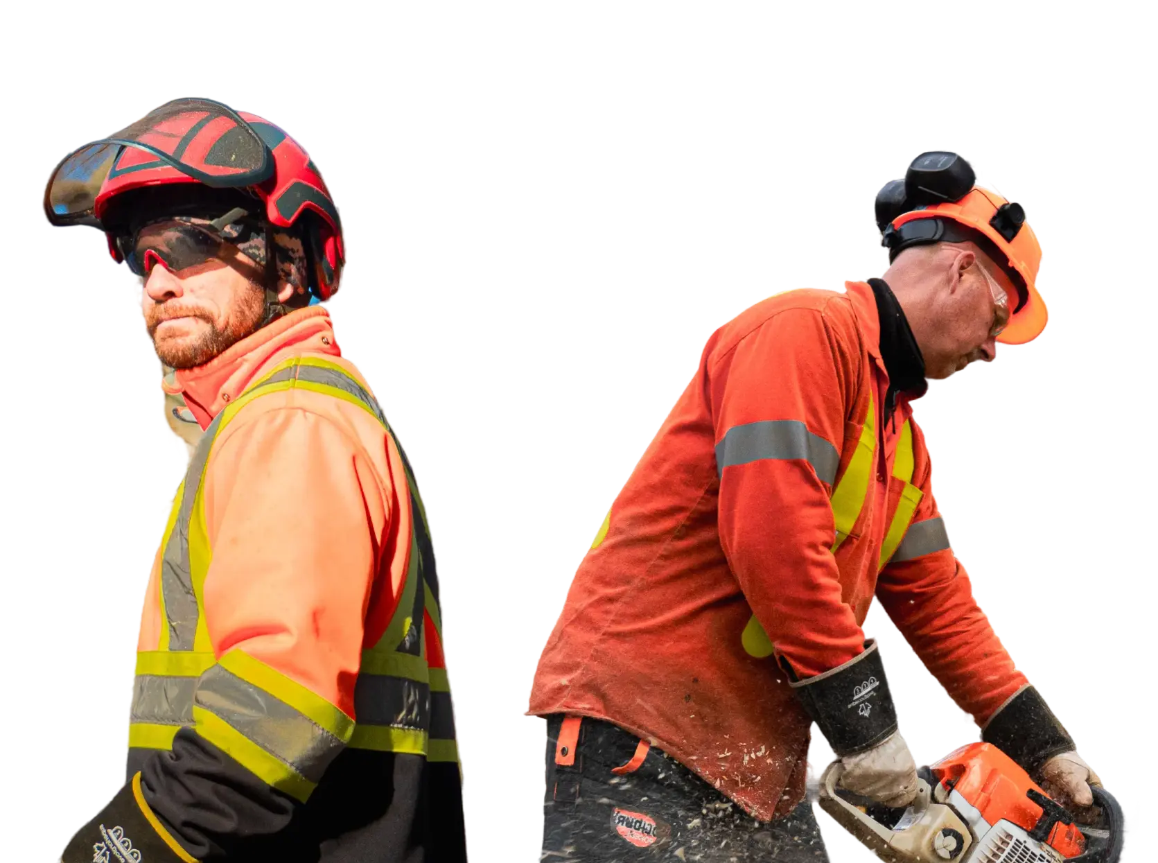 arborists